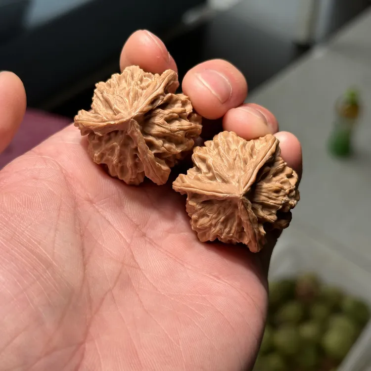 盘山三棱 尺寸可选