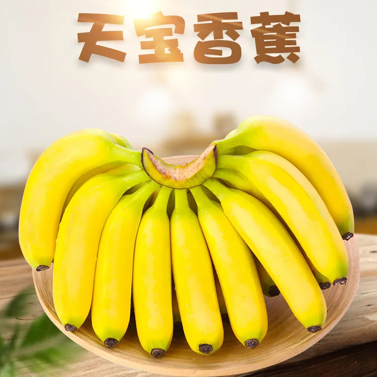 【全年】福建漳州天宝香蕉新鲜大香蕉当季水果非仙人蕉