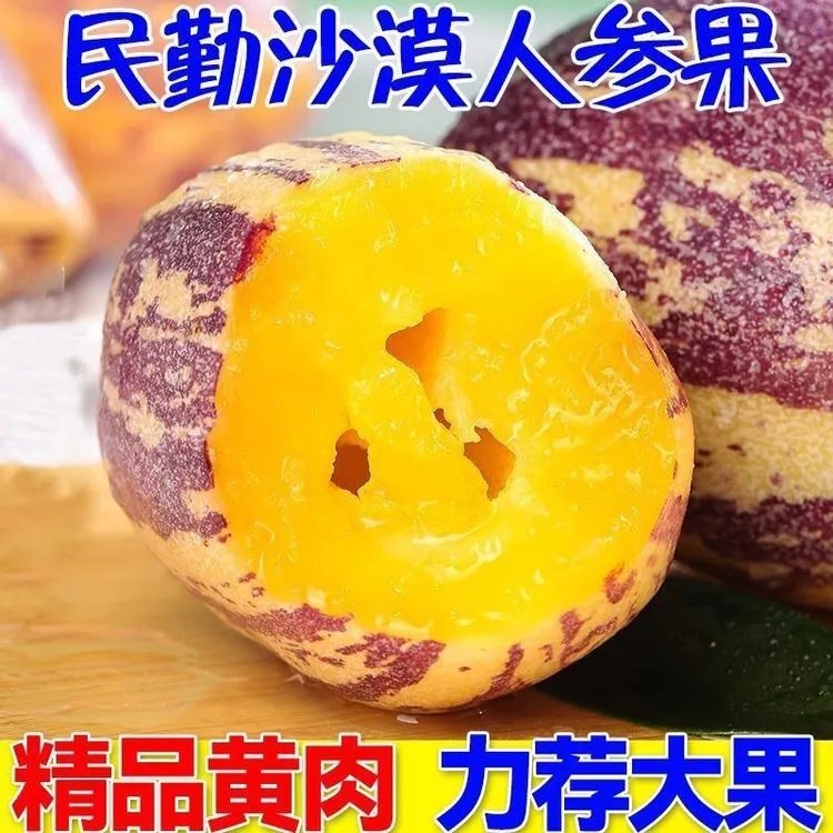 【新鲜采摘】【巨无霸】甘肃民勤人参果水果当季新鲜水果黄肉人参果