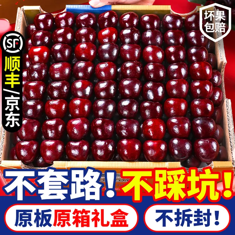 【现货速发】智利进口车厘子桑提娜礼盒J-4J新鲜水果内附果径卡海运