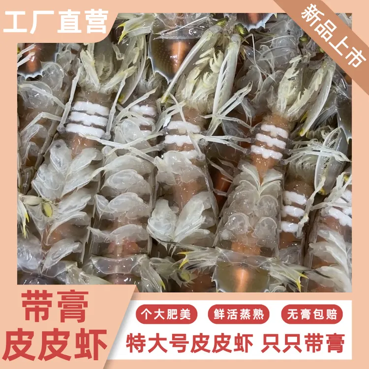 北部湾野生皮皮虾活蒸八成熟顺丰包邮到手全母或全公