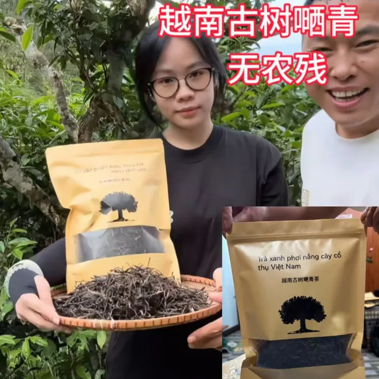 越南乔木古树嗮青（可试喝，两袋500g）散装