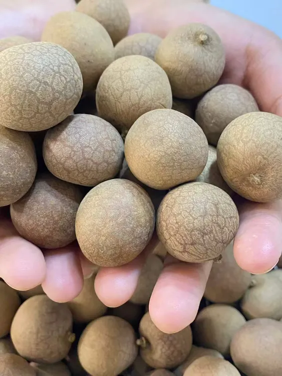 新货桂圆干壳薄肉厚颗粒饱满即食泡水