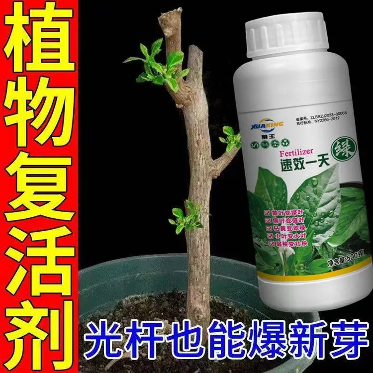 【新芽猛长】老桩催芽剂促芽僵苗快速发新芽防黄叶促花营养复活肥