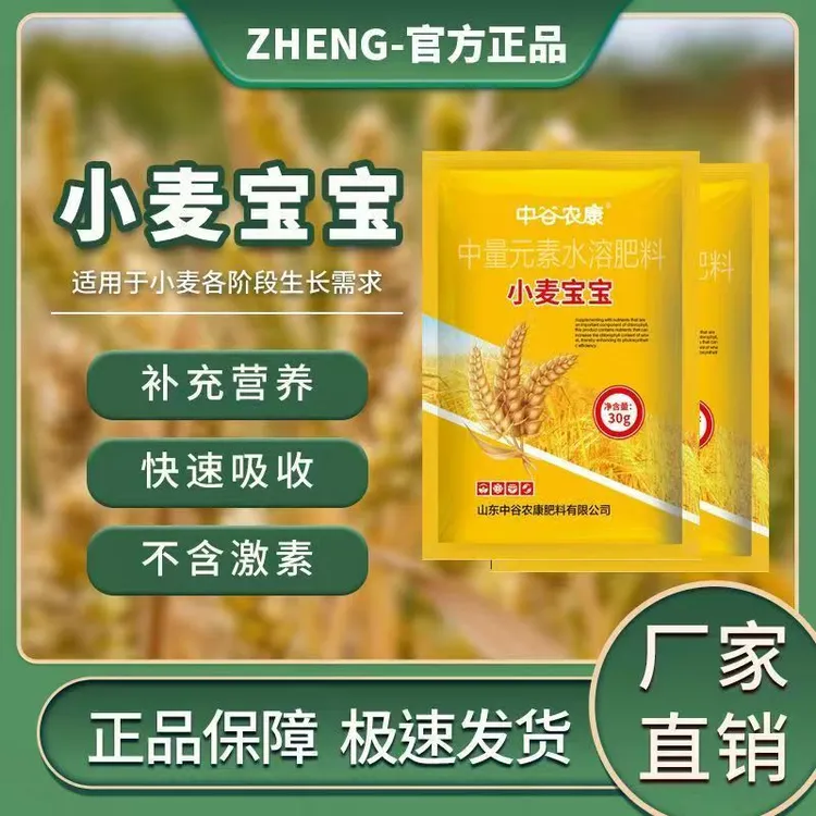 小麦宝宝叶面肥荞麦小麦种植穗大粒饱促分促返青生根壮苗水溶肥