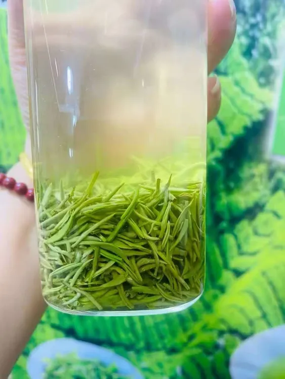 5号链接信阳毛尖2.0明前精品选芯小芽 花果香 高山绿茶 
