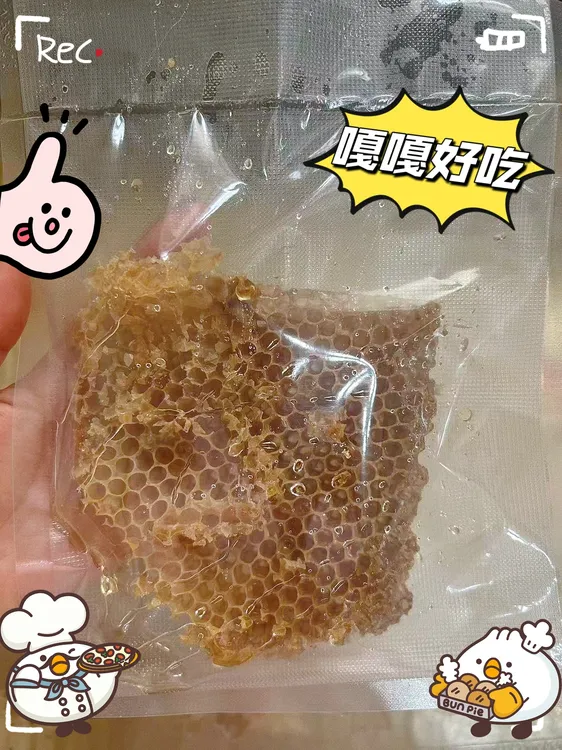 原生态养蜂专用巢胚蜂巢脾