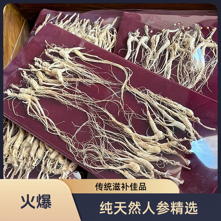 林下人参 林下籽参 送礼 泡酒 煲汤 煮水 
