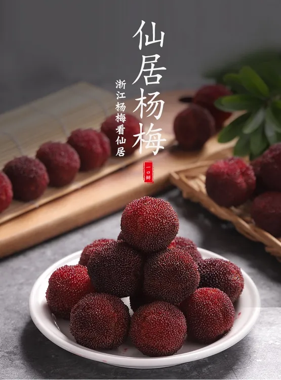 7A/8A/9A正宗仙居东魁杨梅新鲜当季水果现摘现发冷链空运