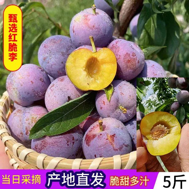 正宗红脆李脆甜脆红李应季半边红孕妇水果非四川脱骨李巫山脆李