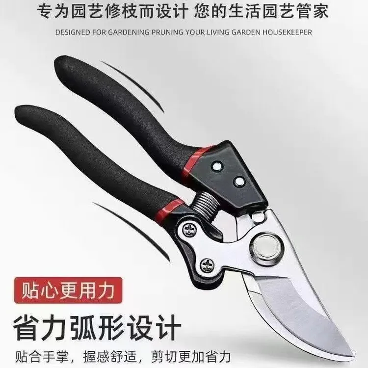 修枝剪果剪原装园艺修枝剪果树修枝剪园林绿化多功能大号树枝剪