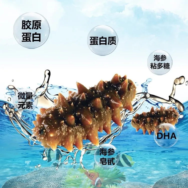 大连深海即食海参辽参送礼品质保证