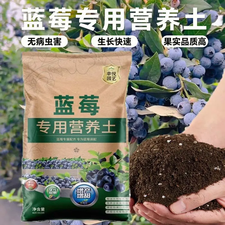蓝莓专用营养土蓝莓苗批发盆栽蓝莓树种植专用植物通用有机土花土