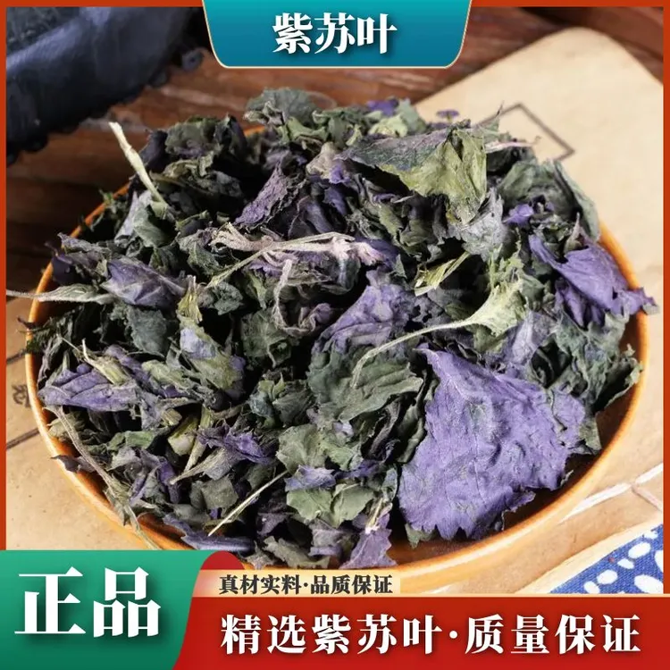 紫苏叶精选自然紫苏叶新鲜食用干紫苏叶干紫新货泡水煲汤叶菜包邮