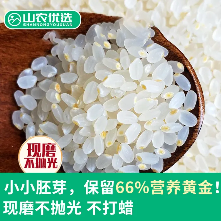 （老蒋专属）（山农优选）胚芽率大于90% 胚芽种子米 厚米油小粒香