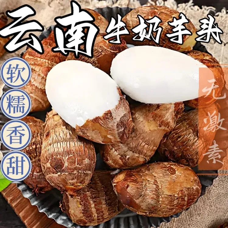新鲜采挖云南特产软糯香滑无激素农家牛奶芋头1/3/4.5斤产地直发