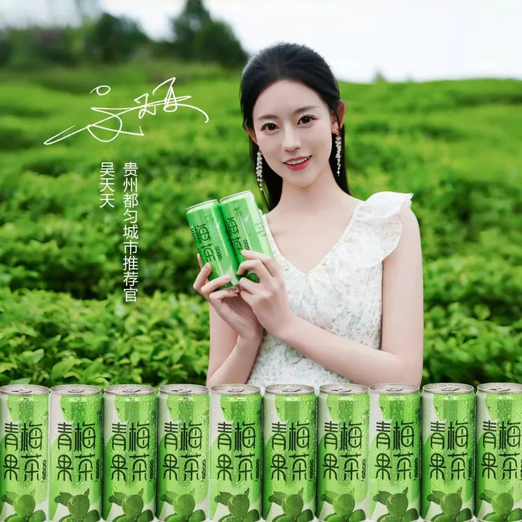 梅浔青梅果茶植物饮料天然优质品质精选健康(中国野梅之乡)12罐装