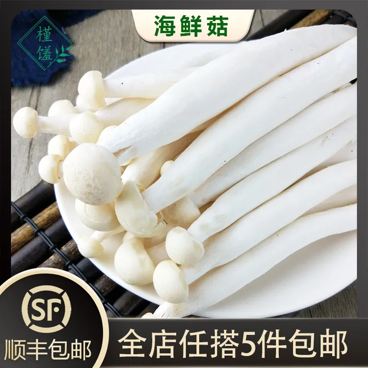 槿馐海鲜菇鲜嫩菌菇 火锅烧烤炒菜百搭 新鲜蔬菜 现摘先发