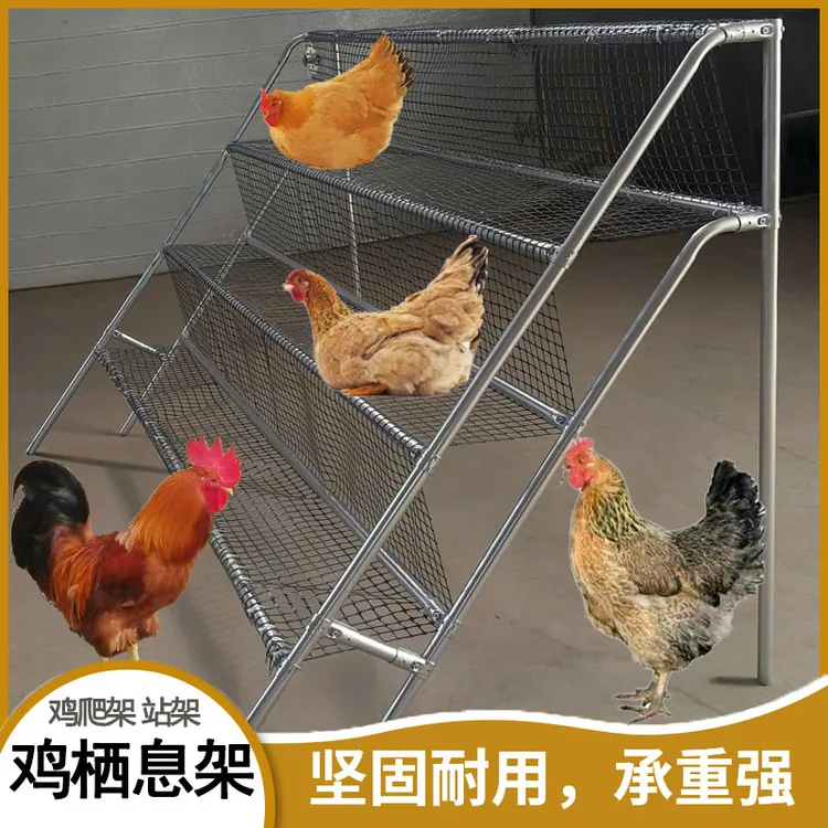 鸡栖息架鸡爬架鸡栖架鸡爬梯鸡站架鸡睡觉架子鸡休息架养殖网架子