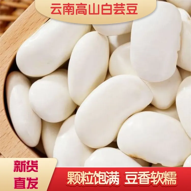 白芸豆新货云南特产杂粮粗粮精选干货炖汤煮粥佳品雪豆大白豆