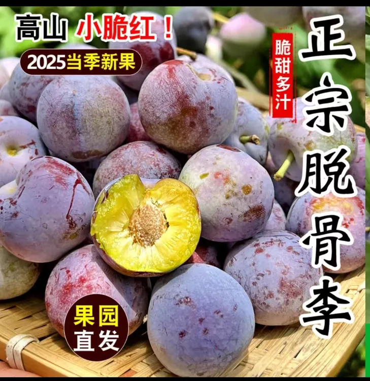 四川正宗脱骨李脆红李新鲜水果脆甜多汁
