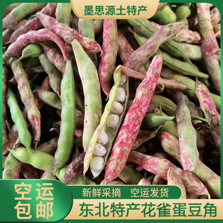 东北特产花雀蛋豆角鼓豆现摘豆大饱满软烂易熟2/3/5斤空运包邮