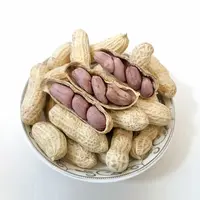 中国永定 龙岩湿烤花生 咸香酥脆 