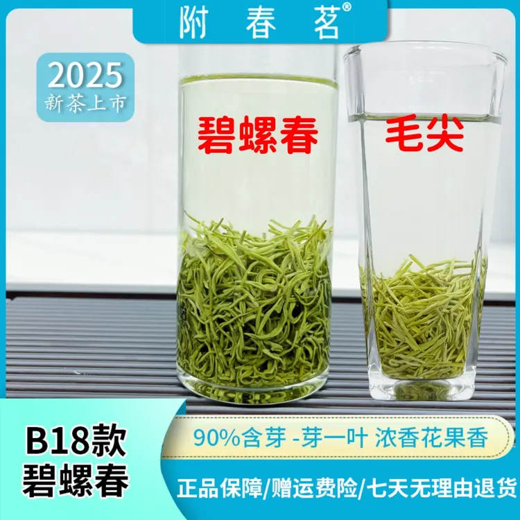 【口粮茶天花板】B18款碧螺春2025绿茶浓香花果香耐泡口感好90含芽