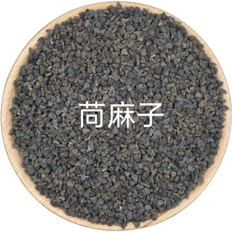 中药材苘麻子青麻子苘麻籽茼麻子麻果籽麻果子芒果子