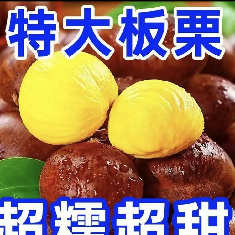新鲜香甜建瓯锥栗高山油栗饱满美味生板栗