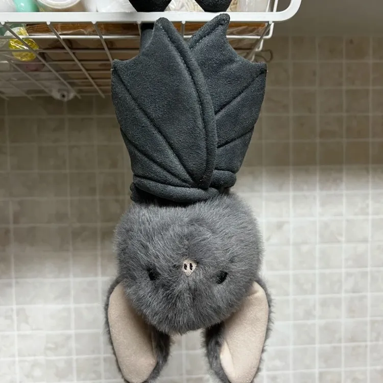 【曲奇】超萌搞怪蝙蝠猪玩偶趣味摆件毛绒玩具床上宿舍玩偶