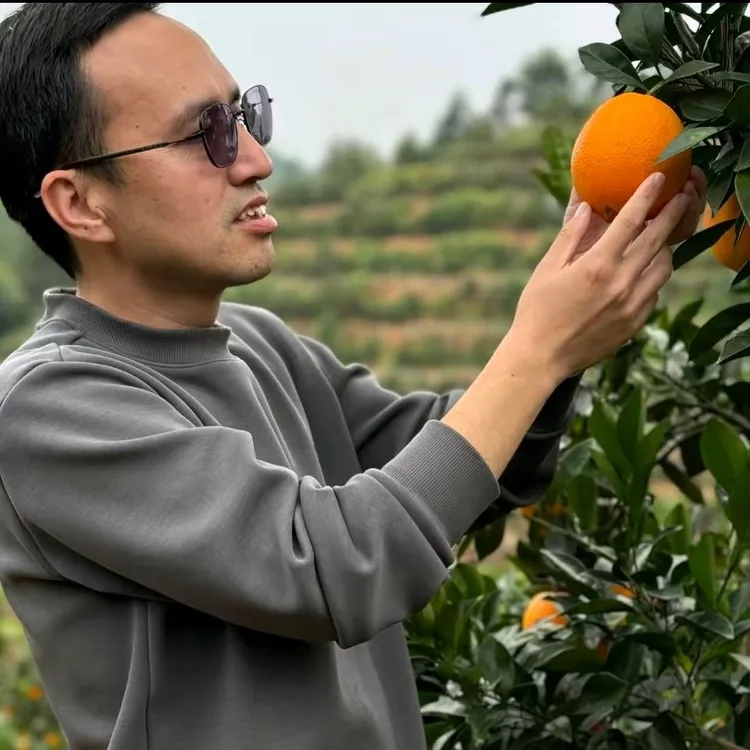 【赣南脐橙】江西赣州信丰山上红土地新鲜脐橙原生态不打腊浓郁香甜