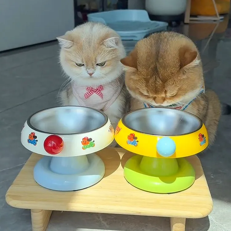 宠物高脚不锈钢护颈食盆不易打翻口径防黑下巴成猫防滑猫咪饭碗