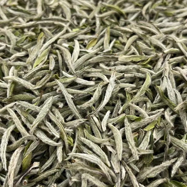 2025新茶福鼎磻溪吴洋山一级白毫银针125克