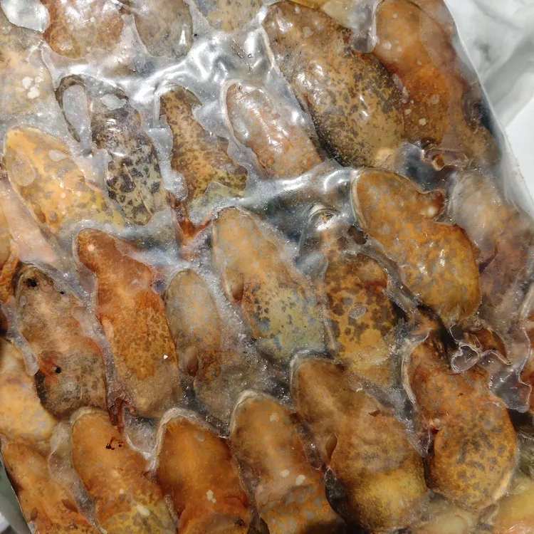 东北特产黑龙江去油带籽母豹子满籽母蛙