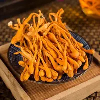 虫草花干货无硫  煲汤凉拌炒食 250g/袋