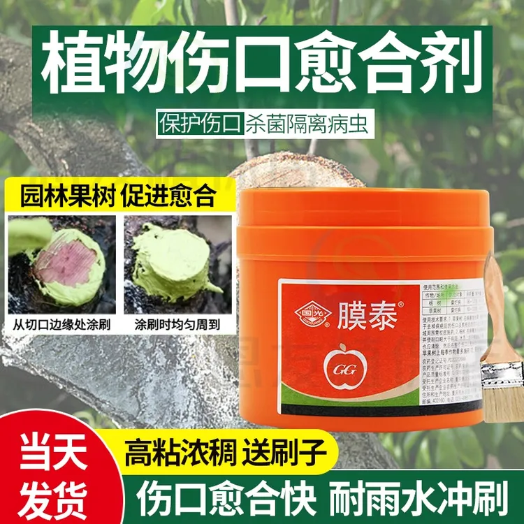 国光膜泰大树盆景果树伤口涂抹剂愈合剂嫁接腐烂病愈伤封口膏包邮
