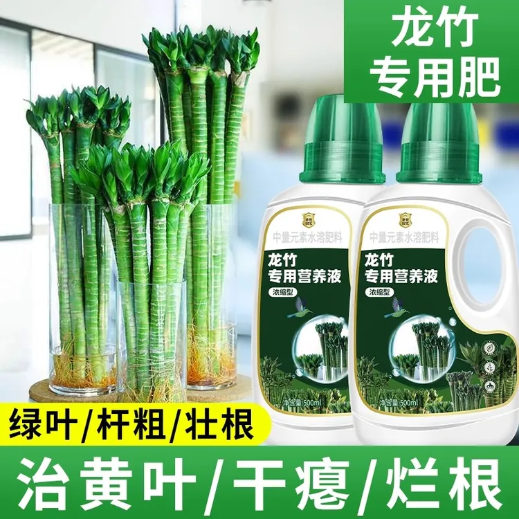 龙竹营养液浓缩型文昌竹治叶子发黄水培植物生根肥富贵竹