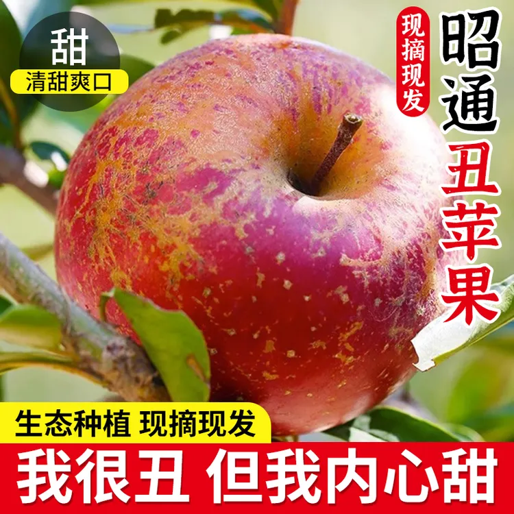 云南冰糖心丑新鲜现摘脆甜多汁当季水果云南丑苹果圣诞苹果