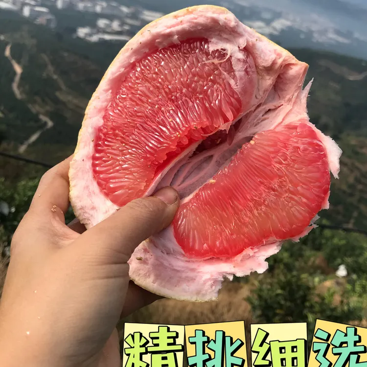 平和蜜柚 琯溪蜜柚 柚子 红心蜜柚 红柚 平和正宗 红心蜜柚