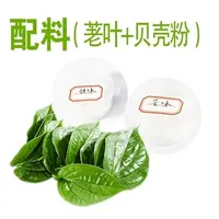 海南新鲜青槟榔果生槟榔配料 荖叶蒌叶贝壳粉一斤甜灰苦灰