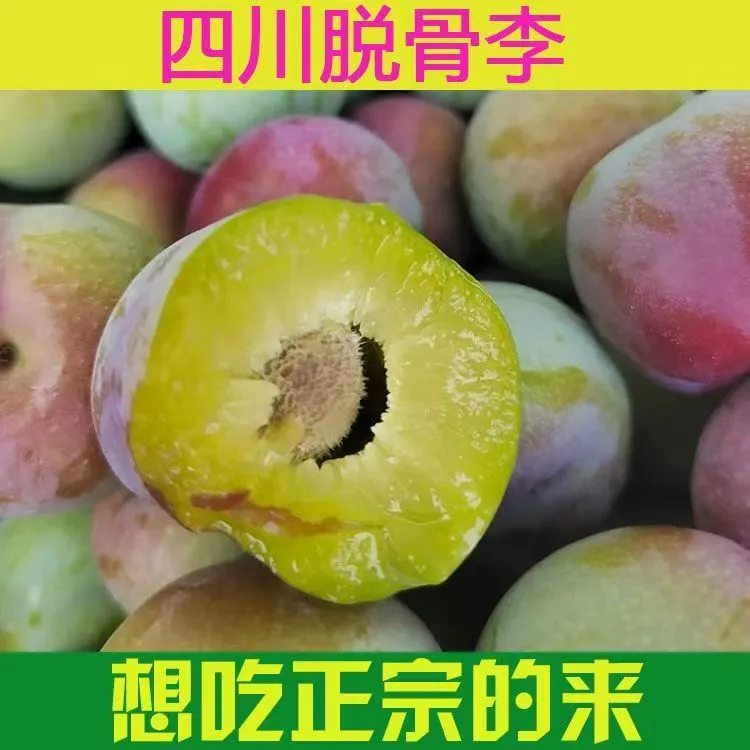 【脱骨李】脱骨李四川高山应当季水果脆李孕妇半边红茵红李青脆红李