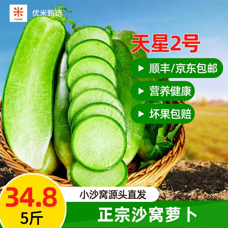 精品金星（天星2号）萝卜天津沙窝萝卜萝卜中的爱马仕顺丰/京东发货
