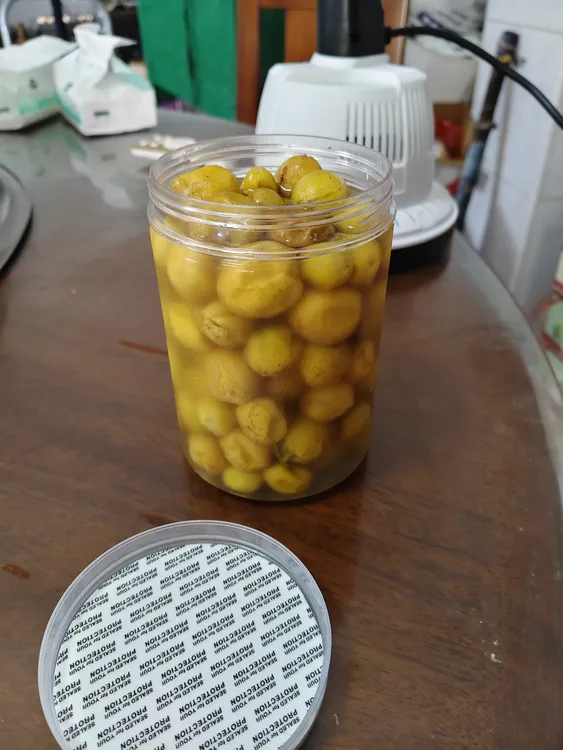 广西特产盐泡黄皮佐料新鲜腌制野生零食甘甜好吃淡酸包邮