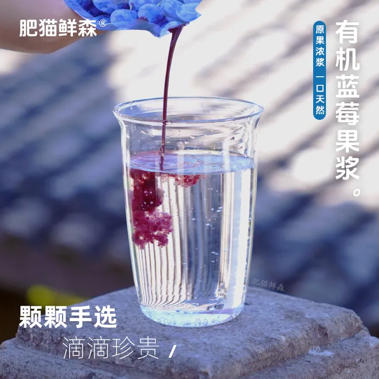肥猫鲜森有机蓝莓原浆 天然野生鲜果冷榨大兴安岭果汁饮料500g