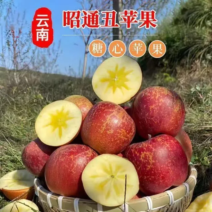 云南昭通冰糖心丑苹果新鲜现摘脆甜多汁肉厚营养水果