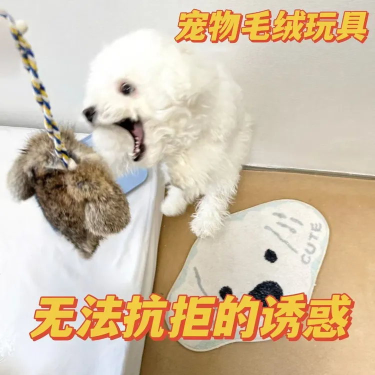 逗狗仿真兔狗狗玩具小型犬发声真兔毛耐咬解闷逗猫棒猫咪玩具兔子