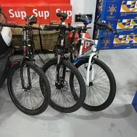 自行车 颜色款式随机发