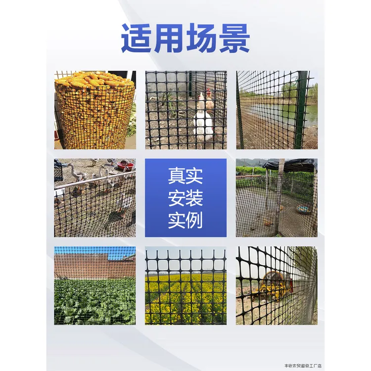 厂家直销养殖土工格栅养鸡鱼塘果园菜园圈地简易鸡围栏网批发