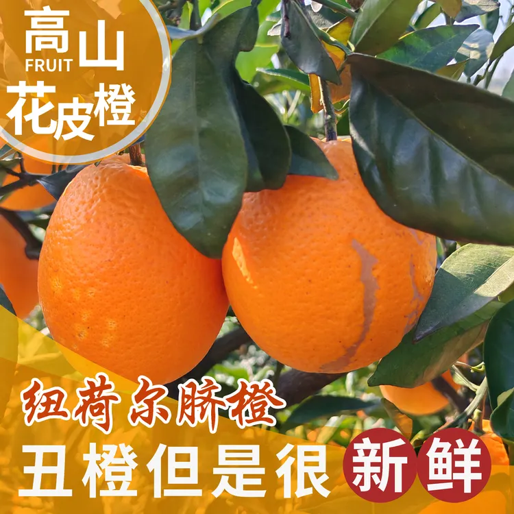 [助农产品]新鲜纽荷尔脐橙高山脐橙香甜多汁花皮果榨汁橙子正宗